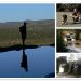 03 mosaic5601078.jpg